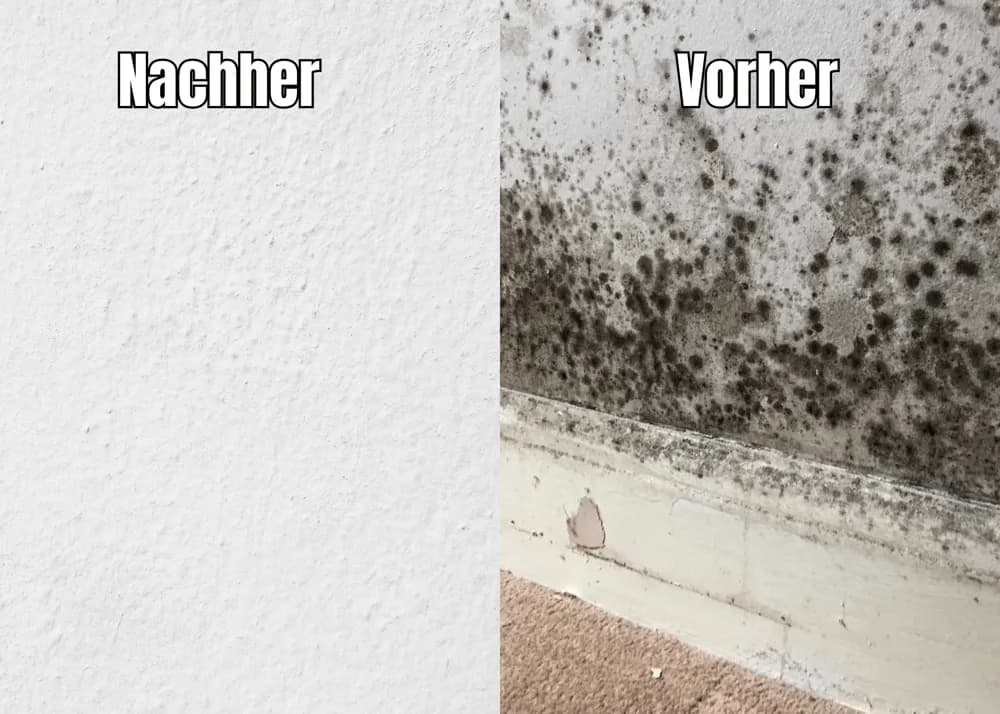 Kellerabdichtung Baustelle Foto 10